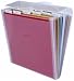 Office Products : Expo Expandable Organizer - Clear