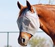 CASHEL CRUSADER COOL FLY MASK WARMBLOOD SIZE PINK