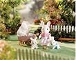 Calico Critters A Carriage Ride for Connor and Kerri