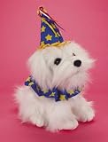 Peluche Chien LOFTUS