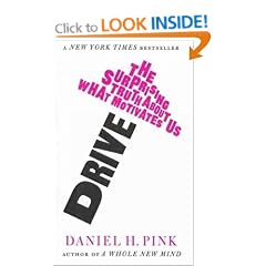 Drive: The Surprising Truth About What Motivates Us