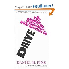Drive: The Surprising Truth About What Motivates Us