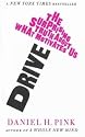 Drive: The Surprising Truth About What Motivates Us
