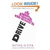 Drive: The Surprising Truth About What Motivates Us