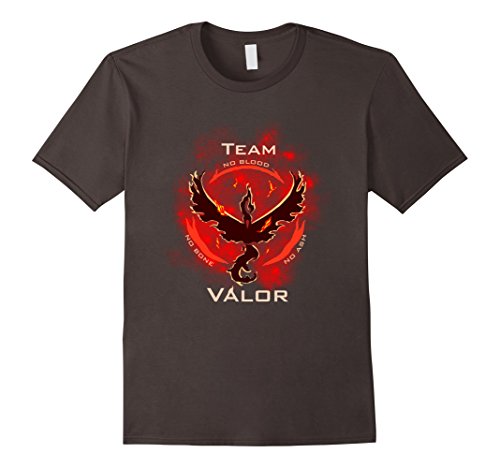 Team Valor T-shirt