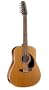 Seagull Coastline S12 Cedar QI Guitar