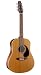 Seagull Coastline S12 Cedar QI Guitar