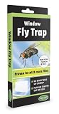 Tanglefoot 300000434 Window Fly Trap