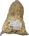 Popcorn Mini-Beutel 100 Stück