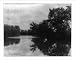 Historic Print (L): Otter Creek