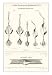 Chapman's Spoon Lures Sports Art Poster Print, 13x18