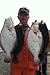 Jigging world Fluke Candy Teaser