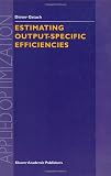 Estimating Output-Specific Efficiencies (Applied Optimization)