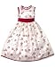 Bonnie Jean Little Girl Metallic Embroidered Dress