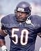 Mike Singletary Chicago Bears 8x10 Photo