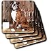 Dogs Boxer - Brindle Boxer - Coasters