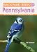 New Gibbs Smith Publisher Backyard Birds Of Pennsylvania Explores The Top 25 Backyard Birds