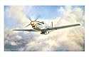 John L. Sublett P-51D Mustang poster