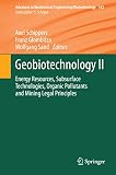 Geobiotechnology II : energy resources, subsurface technologies, organic pollutants and mining legal principles
