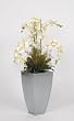 House of Silk Flowers Phalaenopsis Orchid Arrangement