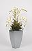 House of Silk Flowers Phalaenopsis Orchid Arrangement