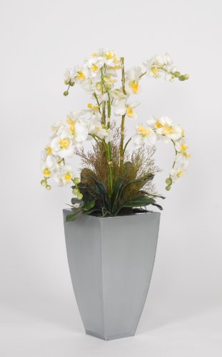 House of Silk Flowers Phalaenopsis Orchid Arrangement