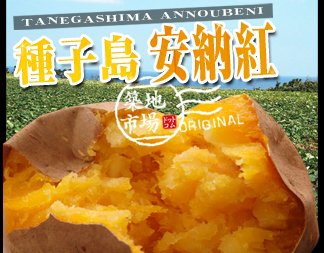 ■2/16～18出荷 【糖度40度以上の芋】鹿児島・種子島産　築地市場ドットコムオリジナル『安納紅』　約２kg　≪産地直送≫