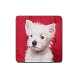 West Highland Terrier Westie Rubber Square Coaster (4 pack)