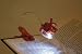 Disney Cars Mater Booklight
