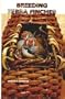 Breeding Zebra Finches
