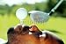 Wallmonkeys Peel and Stick Wall Decals - Funny Golf - 36