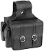 River Road Synthetic Leather Classic Compact Removeable Saddlebags with Pockets for Cruiser Bikes - Classic