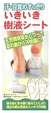 汗・目覚めすっきり いきいき樹液シート 6パック入