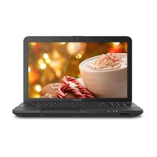 Toshiba Satellite C855D-S5339 15.6 Laptop with 320GB HD, 2GB RAM, Windows 8