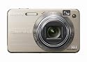 Sony Cybershot DSCW170/G 10.1MP Digital Camera with 5x Optical Zoom with Super Steady Shot (Gold)