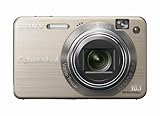 Sony Cybershot DSCW170/G 10.1MP Digital Camera with 5x Optical Zoom with Super Steady Shot (Gold)