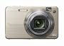 Sony Cybershot DSCW170/G 10.1MP Digital Camera with 5x Optical Zoom with Super Steady Shot (Gold)