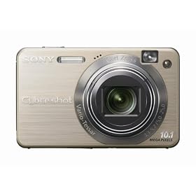 Sony Cybershot DSCW170/G 10.1MP Digital Camera with 5x Optical Zoom with Super Steady Shot (Gold)