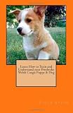 Learn How to Train and Understand your Pembroke Welsh Corgis Puppy and Dog