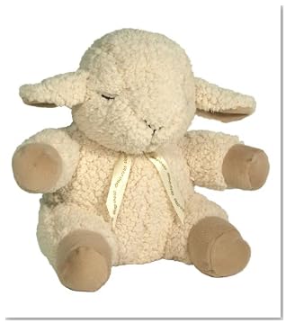 The Little Lamb and the Cloud
