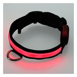Adjustable LED Illumination Pet/Dog Collar, Small, Red