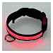 Adjustable LED Illumination Pet/Dog Collar, Small, Red Adjustable LED Illumination Pet/Dog Collar, Small, Red