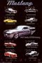 Mustang - Evolution Poster Print, 24x36