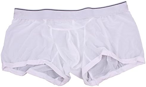 Men's See-through Mesh Underwear Shorts for Love Game (S, White)