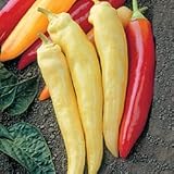 Pepper Seeds - Pepper Sweet Spot Hybrid X3R