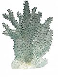 Illuminated Staghorn Coral, Large (Ethical)