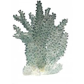 Illuminated Staghorn Coral, Large (Ethical) by Ethical Products Inc