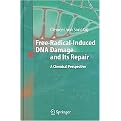 Free-Radical-Induced DNA Damage And Its Repair (A Chemical Perspective) (Hardcover)