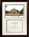 Stanford Cardinals Graduation Diploma Frame & Pic
