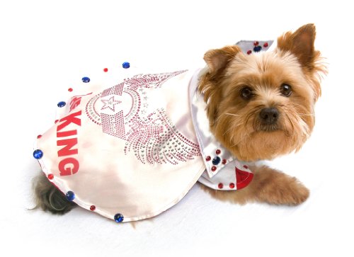 Dog Fancy Dress Costume. 